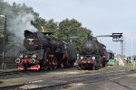 Polish Steam
